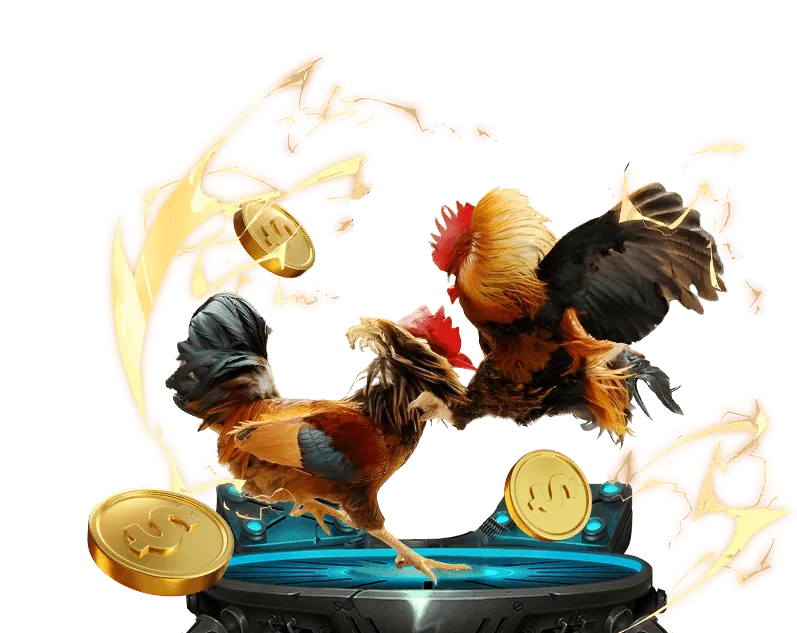 Lợi ích của khuyến mãi 55pw